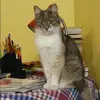 Отзыв от Кристина Шестакова